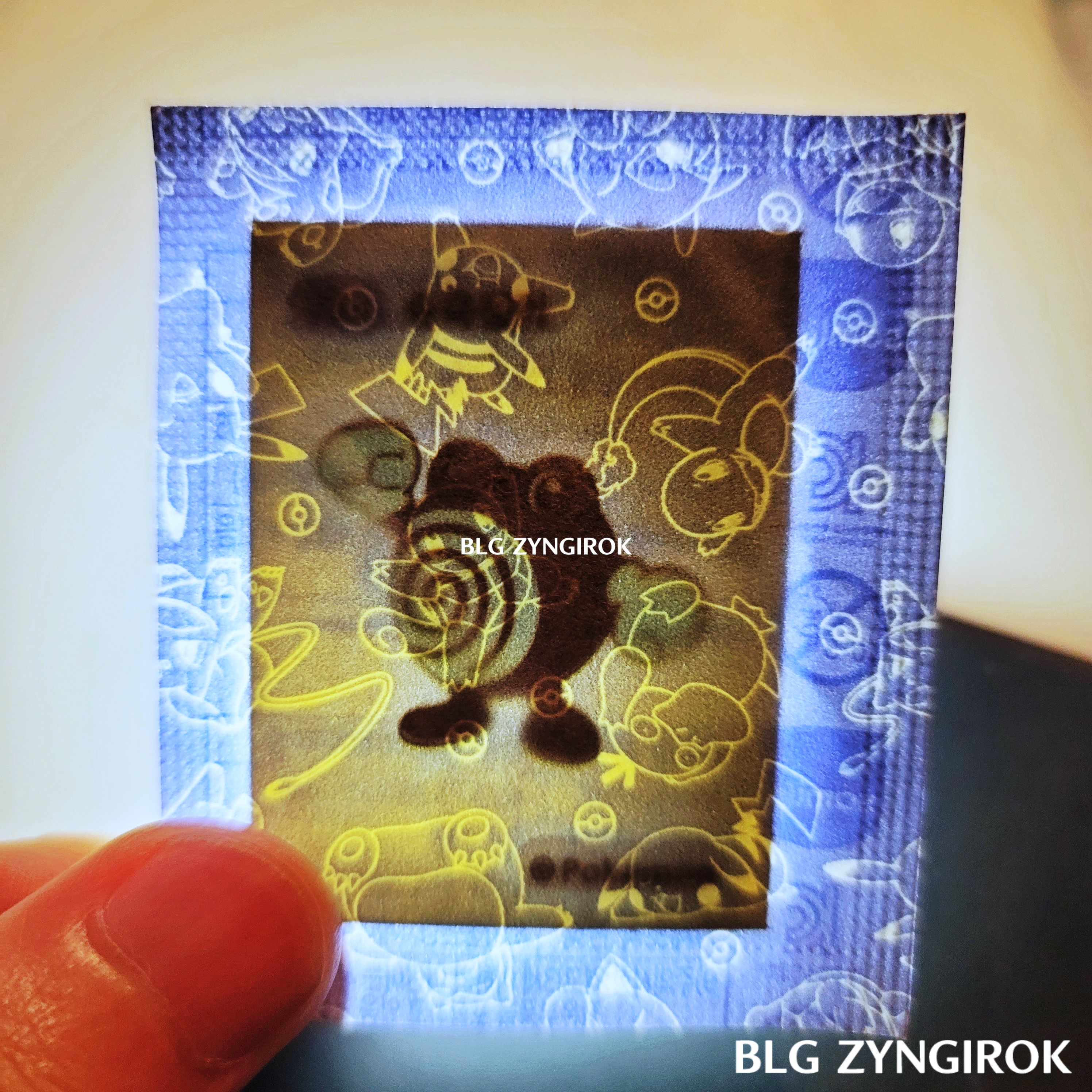 띠부띠부씰-수륙챙이를-들고있다.