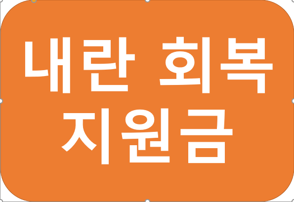내란 지원금