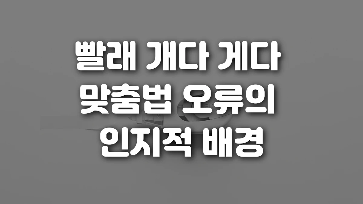 빨래 개다 게다 맞춤법 오류의 인지적 배경