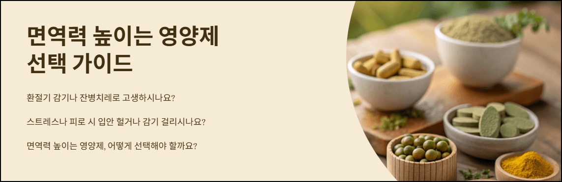 면역력 영양제 선택 가이드