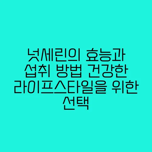 넛세린의 효능과 섭취 방법 건강한 라이프스타일을 위한 선택