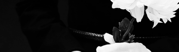 재무 건전성 중요 (총 선수금, 총 자산)