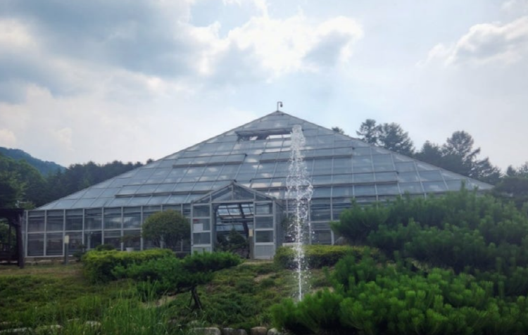 양구 수목원