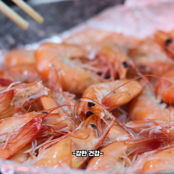 대하 효능