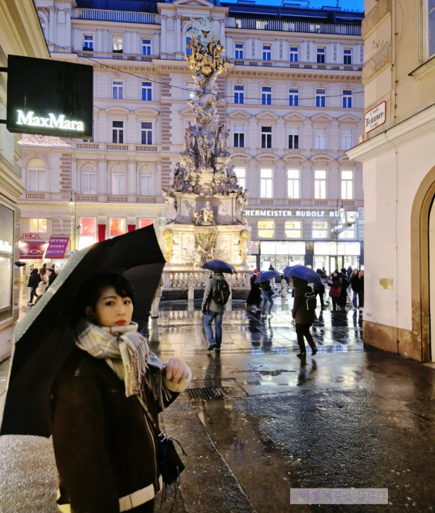 #비엔나크리스마스 #유럽크리스마스