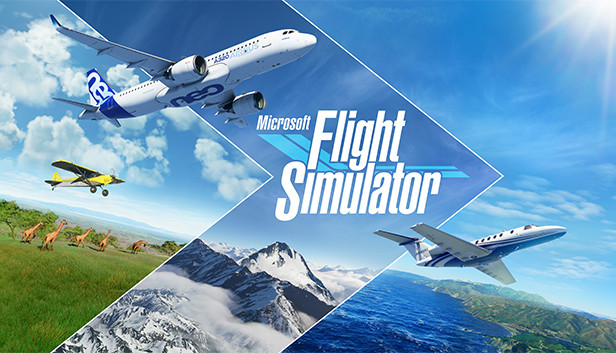 Microsoft Flight Simulator 2020 를 둘러보자