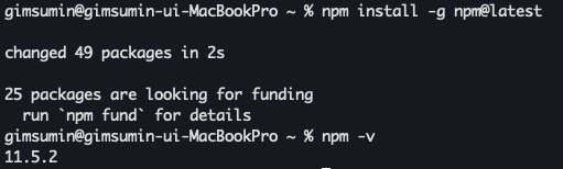 gemini cli 설치를 위해 npm을 최신버전으로 업데이트 받는 터미널 화면