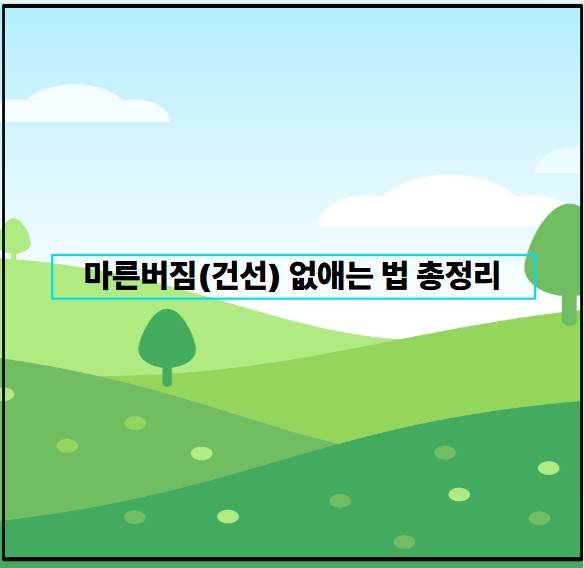 마른버짐(건선) 없애는 법 총정리