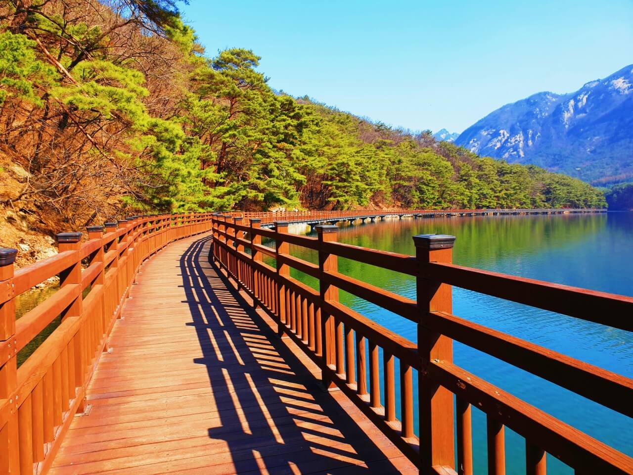 서울 근교 드라이브 코스