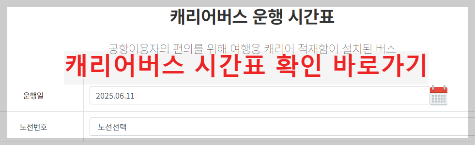 대구 캐리어버스 운행시간표