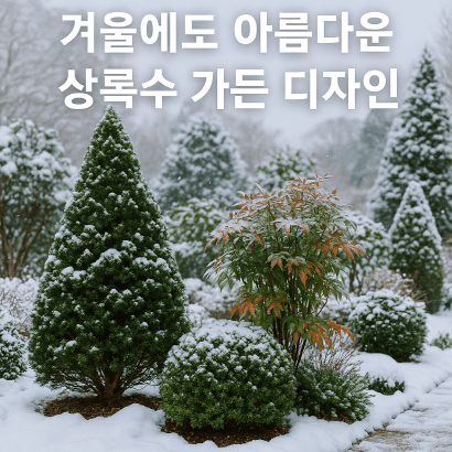 [정원가꾸기_실전편] 겨울에도 아름다운 상록수 가든 디자인