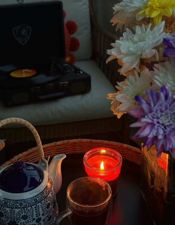 퇴근후 식물과 함께 하는 저녁