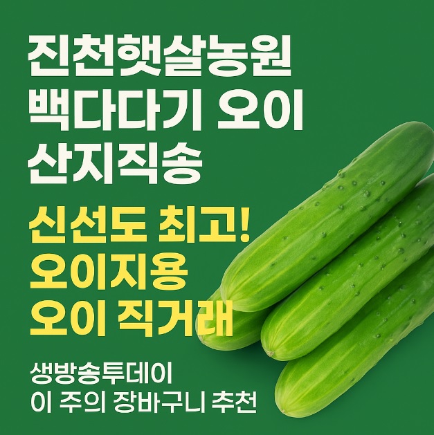 생방송투데이 이 주의 장바구니 진천 오이 구매방법, 보관법, 세척법, 활용법 진천햇살농원