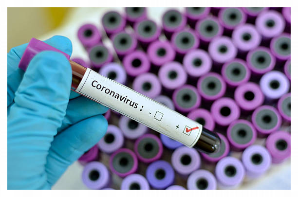 코로나 예방접종 안내