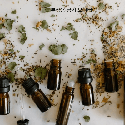 폐경기 여성 골다공증과 호르몬 치료 가이드 (2025 최신)