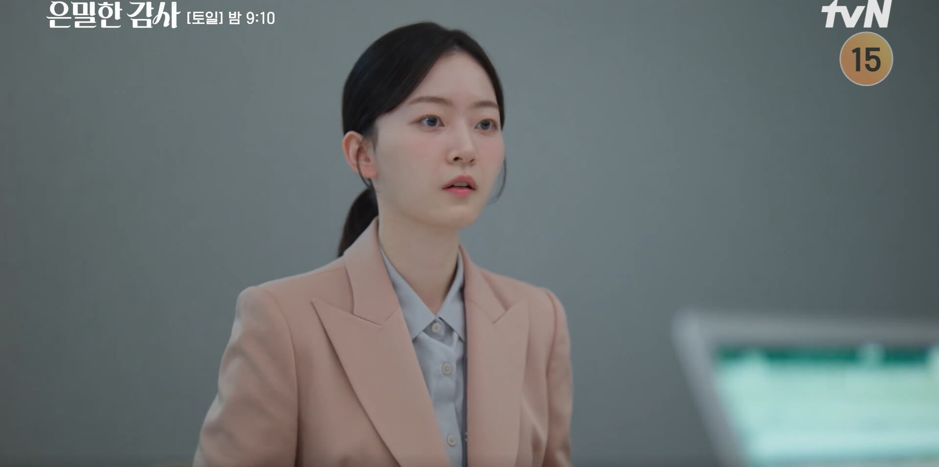 tvN 은밀한 감사 공식 홈페이지 자료 3