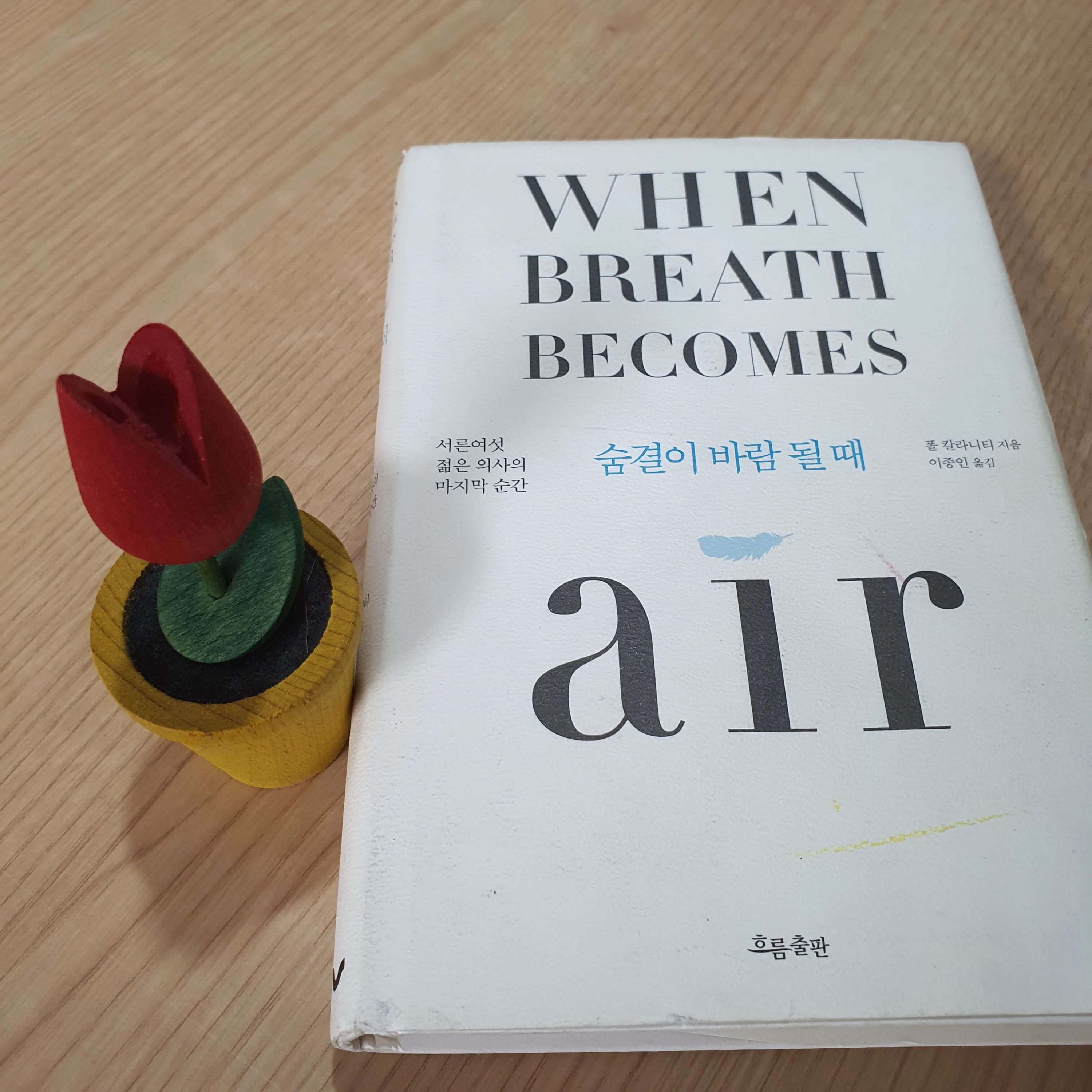 삶의 의미를 돌아보게 하는 책, 숨결이 바람될 때, 표지