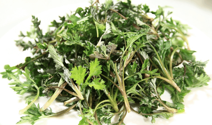 본나물 종류에 포함된 쑥이 놓여 있다