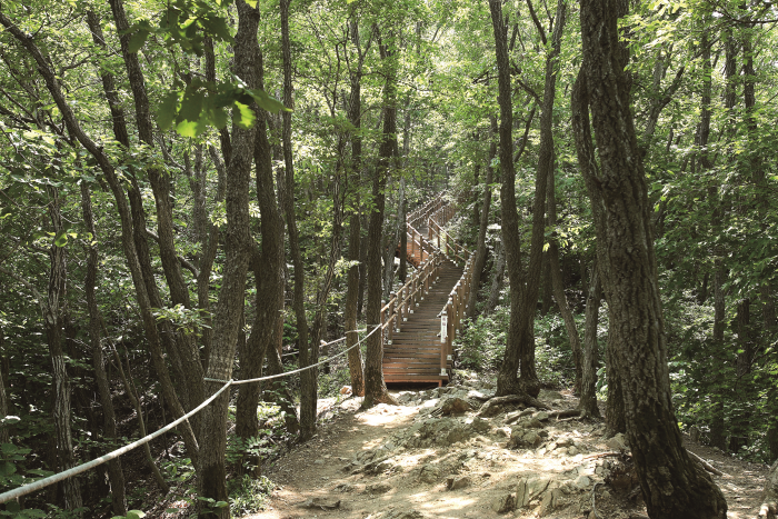 청양 가볼만한곳 베스트10