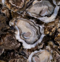 아연 영양제 추천 먹는 시간 부작용