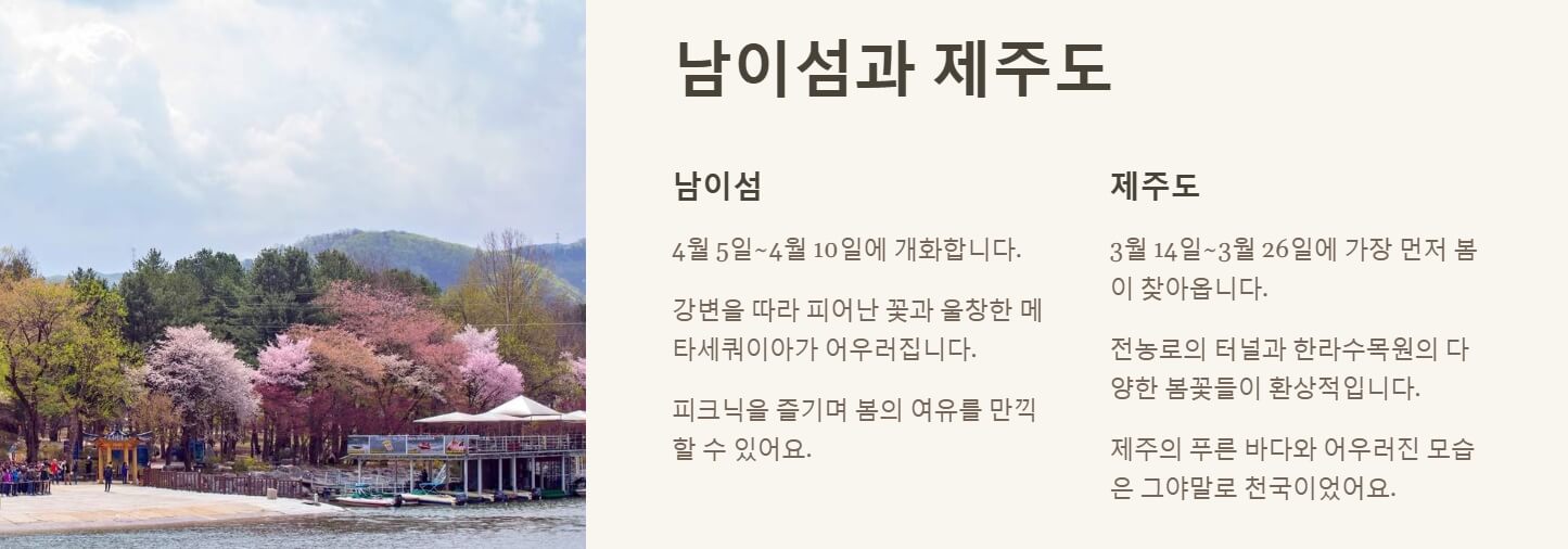 전국 벚꽃 명소 개화시기