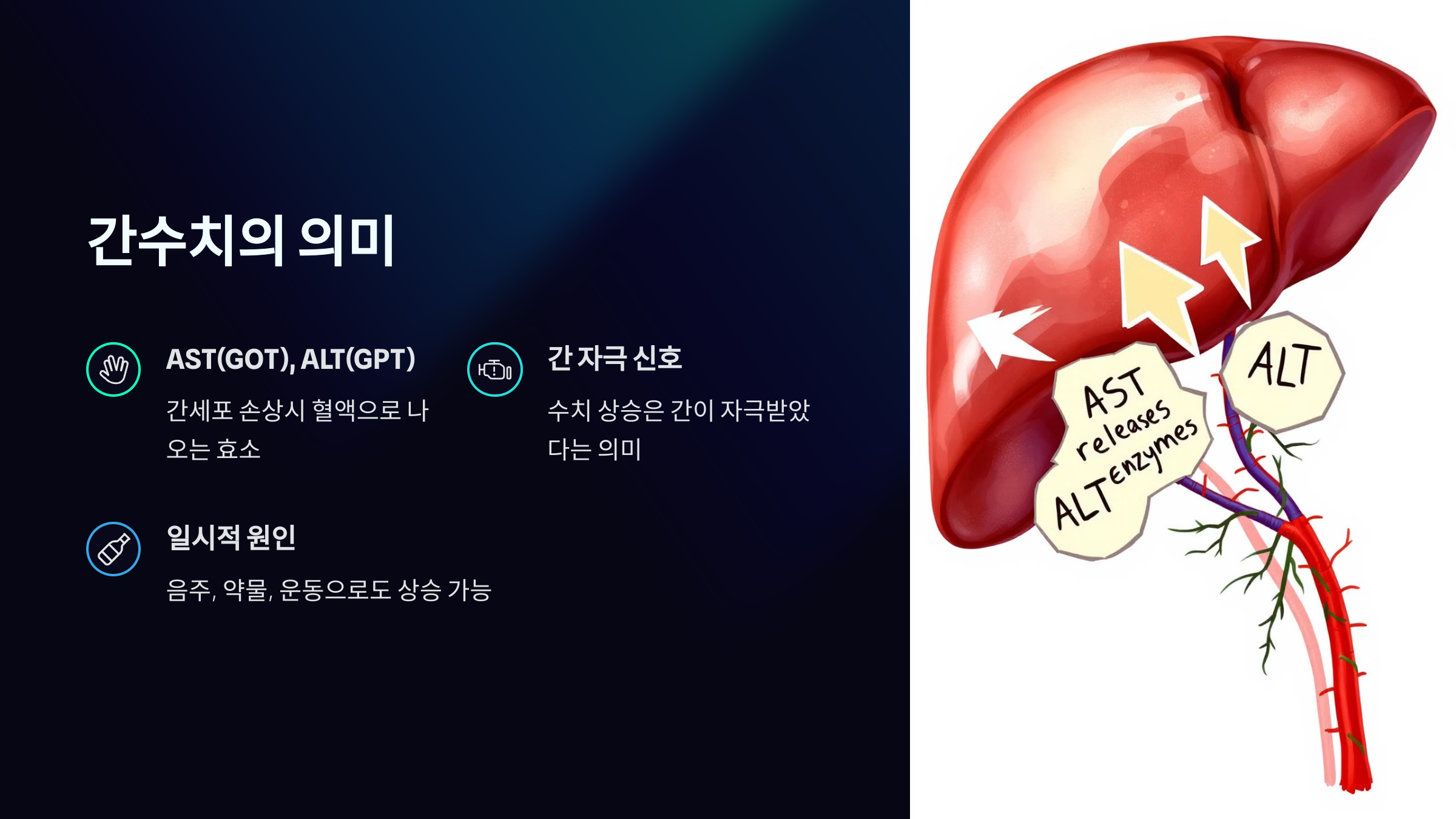 간수치의 의미