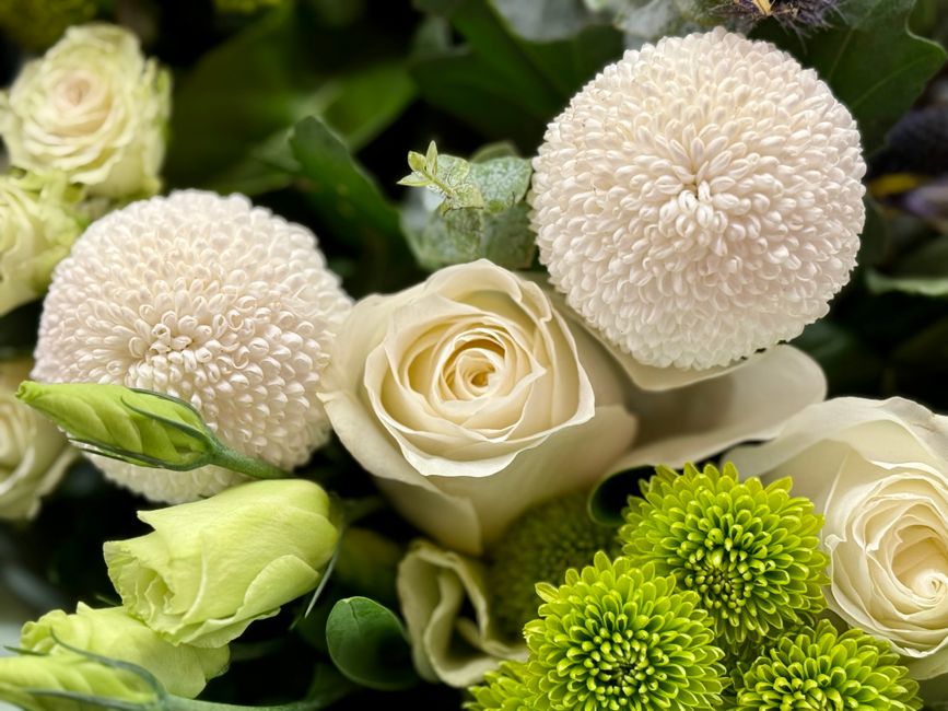 Close-up of a lush bouquet featuring white roses and different chrysanthemums with lush green foliage.