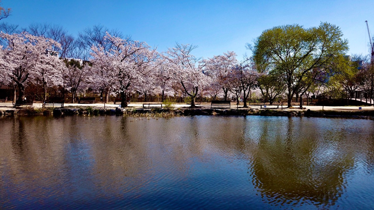 오산 물향기수목원