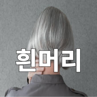 흰머리