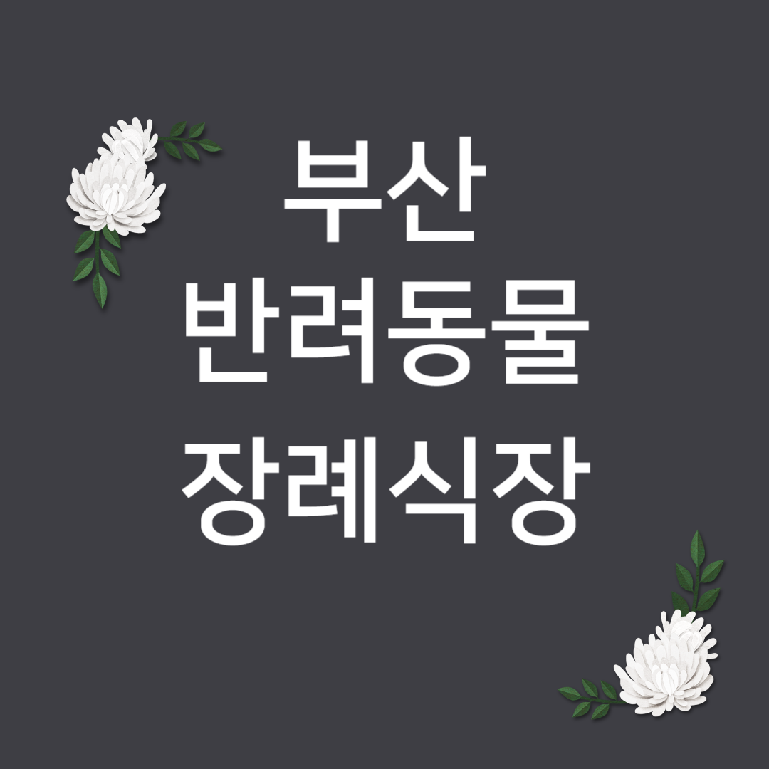 MIRICANVAS_ITEM_COPY_KEY