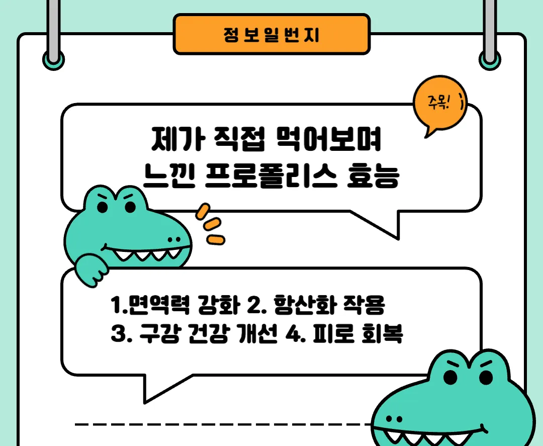 프로폴리스-효능-후기-기관지