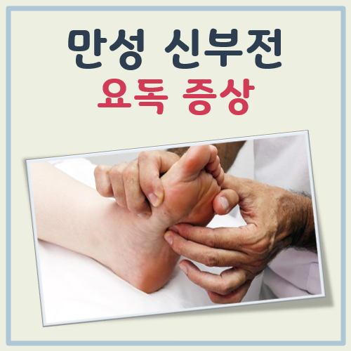 만성 신부전 요독증상 대표 이미지