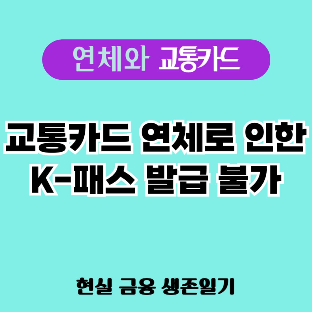 연체와 교통카드 관련 블로그 대표 이미지