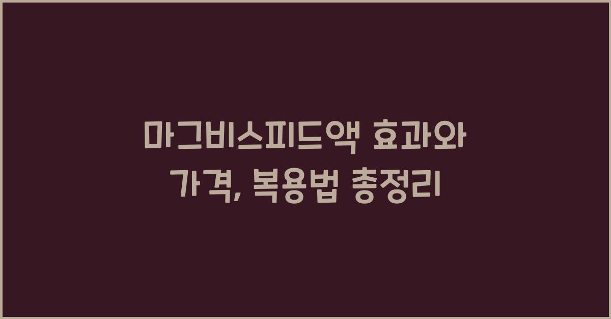마그비스피드액