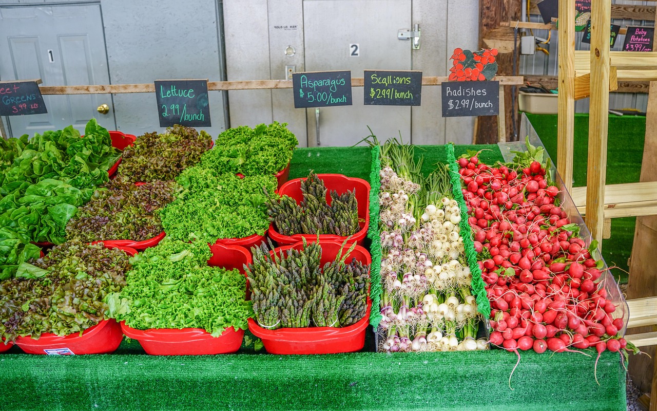 민생회복 지원금 25만원 지급 대상&amp;#44; 신청 방법&amp;#44; 사용처&amp;#44; 활용 꿀팁 총정리