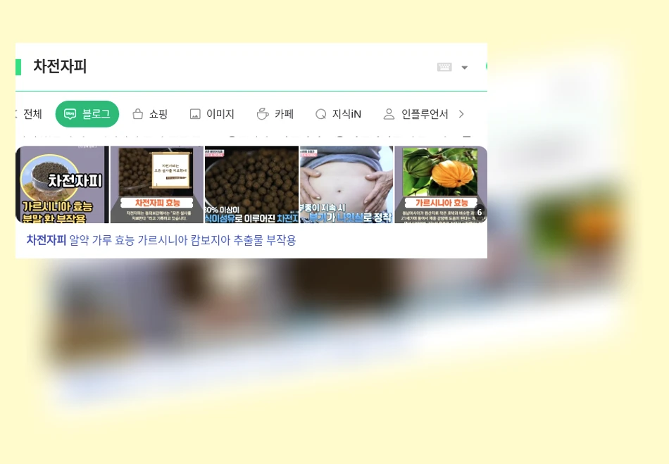 차전자피_1_subsection