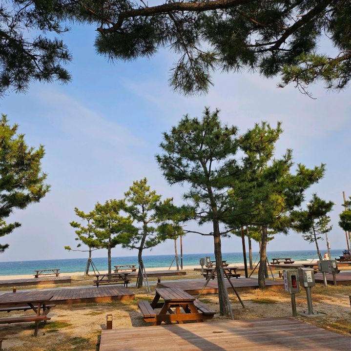 송지호해수욕장