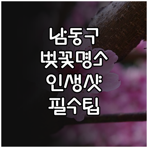 인천 남동구 지역별 벚꽃 명소 3곳과..