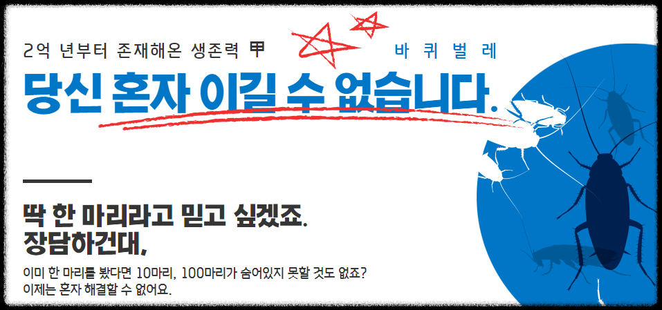 세스코 가정집 비용 아파트,원룸,투룸 가격 (셀프진단)