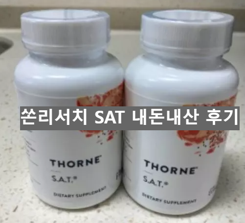쏜리서치 SAT 내돈내산 후기