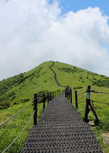 2025 가을 소백산 단풍 절정 &amp; 등산코스 가이드 ❘ 비로봉&middot;천동 코스&middot;주차장 정보