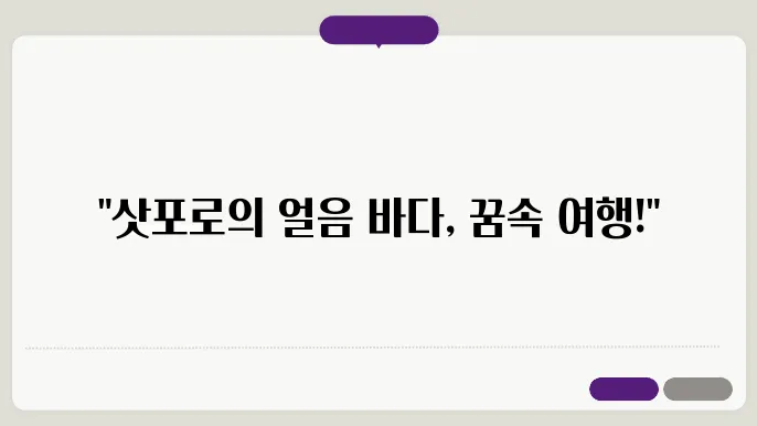 삿포로 유빙 크루즈, 얼음 바다를 못 보면 후회할걸요?
