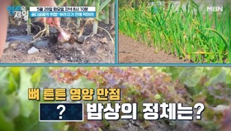 골다공증상추