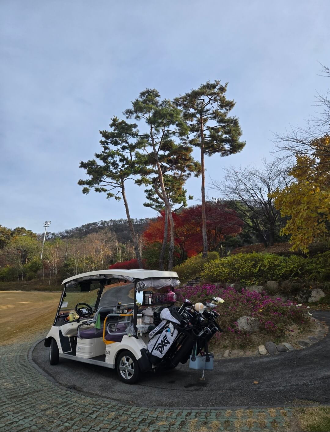 골프카트와 꽃이핀 화단