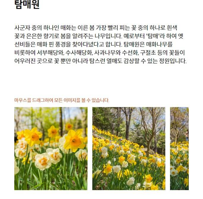 탐매원