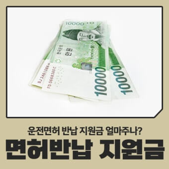 운전면허 반납 지원금
