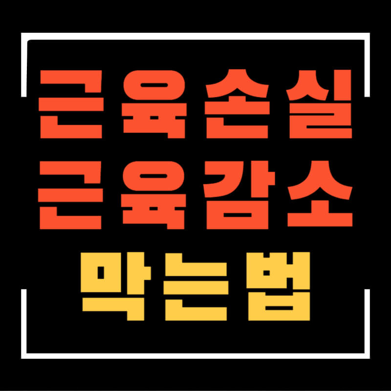 근육손실막는법섬네일