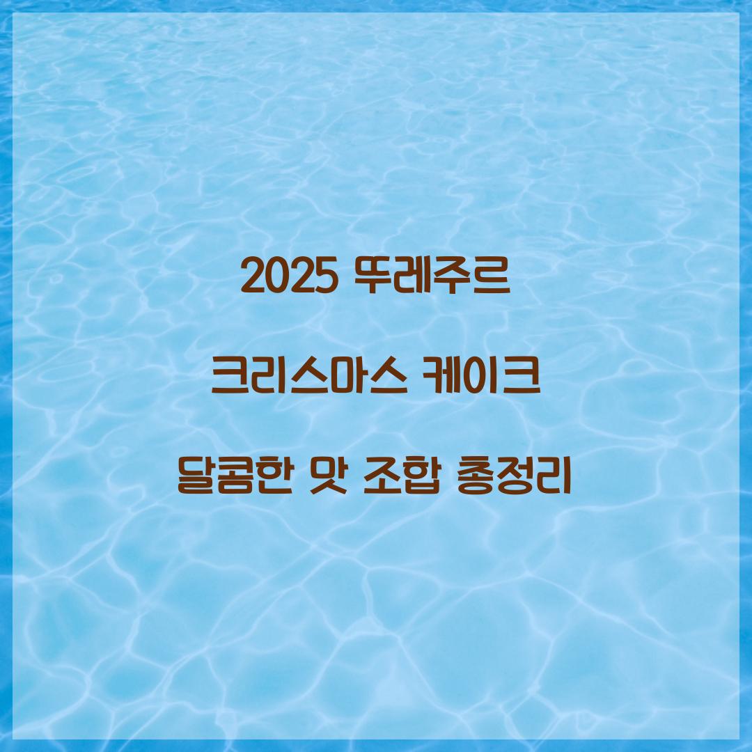 2025 뚜레주르 크리스마스 케이크