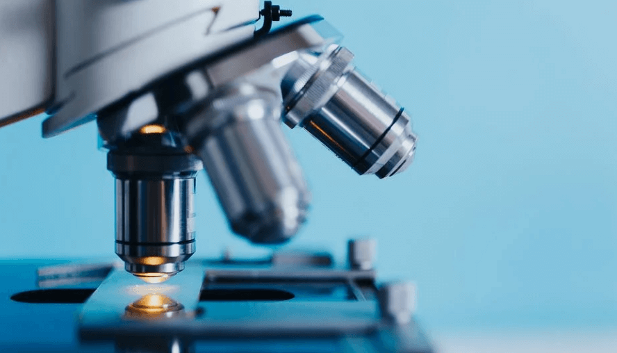 현미경으로 검사하고 있다