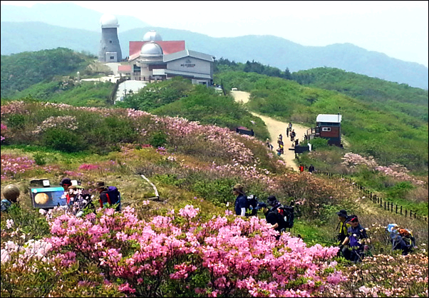 단양 소백산 철쭉제